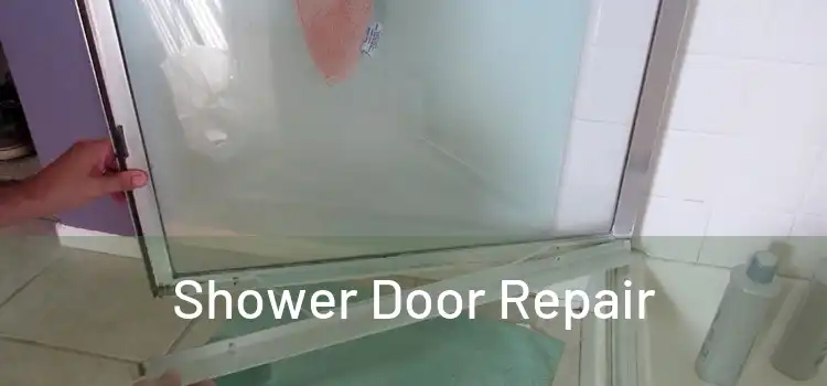 Shower Door Repair